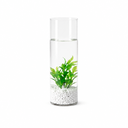 Premium Quality Small Ornamental Fish Tank for Multiple Fish